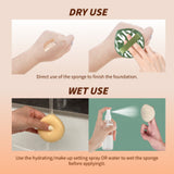 2Pcs Makeup Sponge Puff For Foundation Concealer And Powder, Blender Sponge For Natural And Easy Makeup Soft Long-lasting