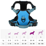 vidaXL Dog Harness with Reflective Stripes Adjustable Blue L