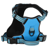 vidaXL Dog Harness with Lead & Collar Adjustable Blue M