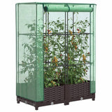 vidaXL Raised Bed with Greenhouse Cover Rattan Look 80x40x123 cm