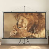 vidaXL Projection Screen 100