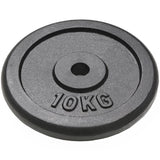 vidaXL Weight Plates 2 pcs 2x10 kg Cast Iron