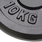 vidaXL Weight Plates 2 pcs 2x10 kg Cast Iron