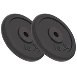 vidaXL Weight Plates 2 pcs 2x10 kg Cast Iron