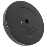 vidaXL Weight Plates 2 pcs 30 kg Cement